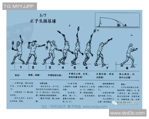 深圳羽毛球队的战术解析与训练策略深度剖析